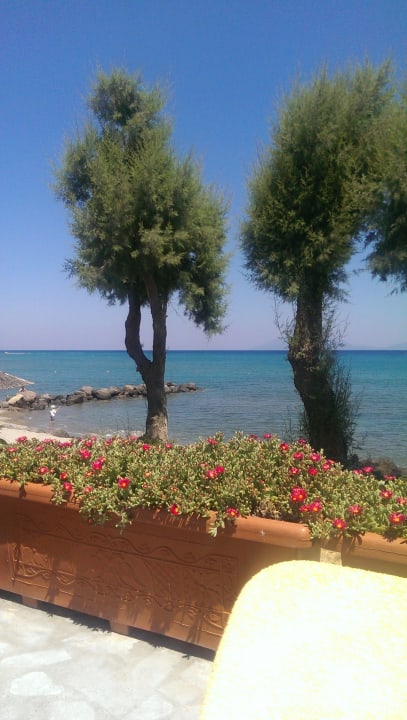 Blick vom Pool auf das Meer Atlantica Beach Resort Kos
