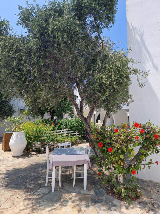 Gartenanlage Amnissos Residence