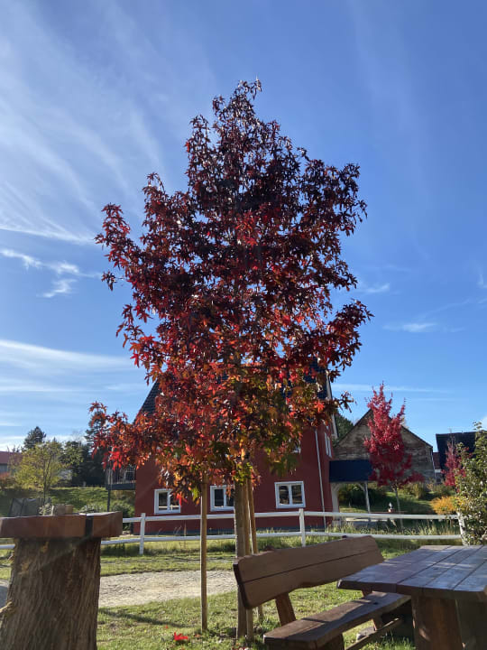 Gartenanlage Bauernhof Strehlaer