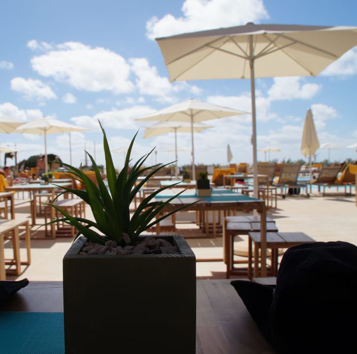 Pool-Bar Oasis Salinas Sea