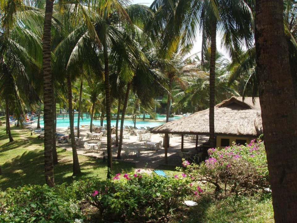 Garten mit Pool PrideInn Flamingo Beach Resort & Spa