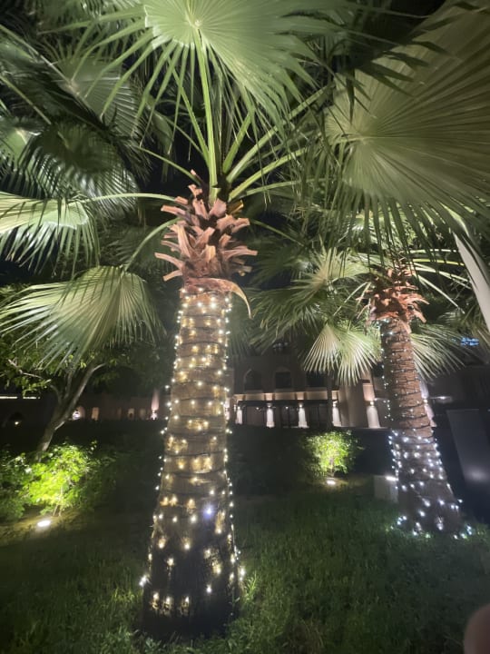 Gartenanlage Palace Downtown