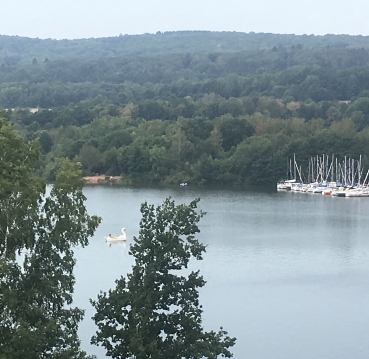 Ausblick Seezeitlodge Hotel & Spa