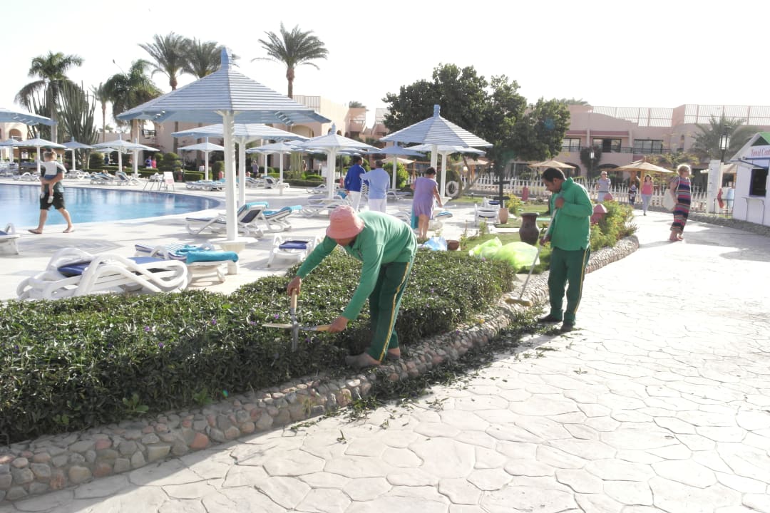 Künstler am Werk Ali Baba Palace Hotel