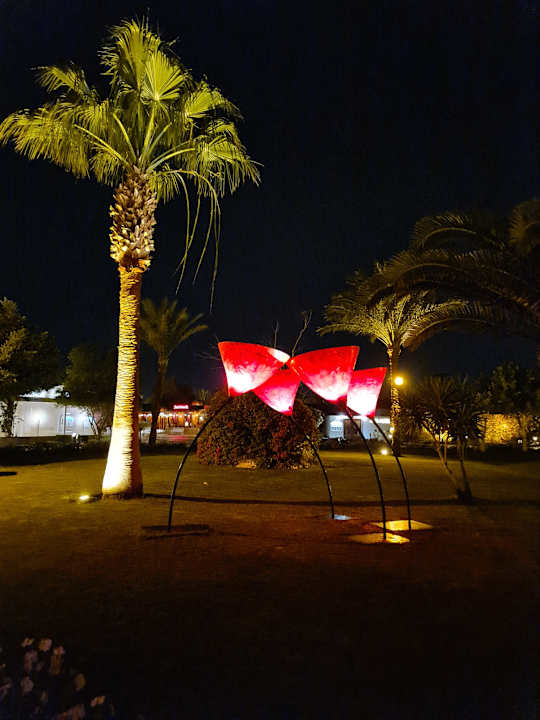 Gartenanlage Desert Rose