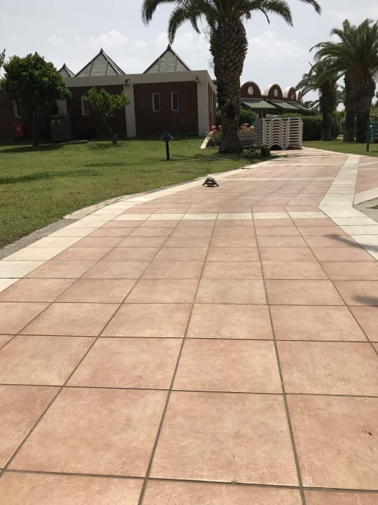 Gartenanlage Megasaray Club Belek