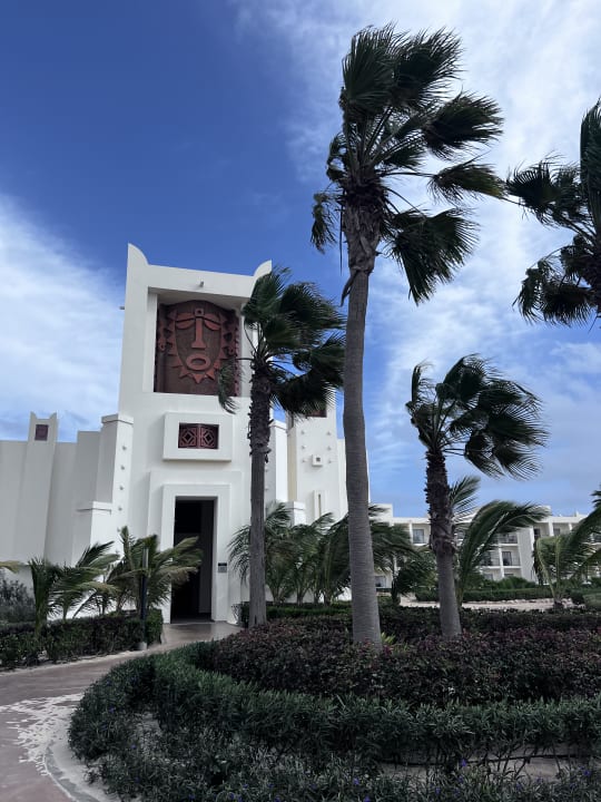 Gartenanlage Hotel Riu Palace Santa Maria