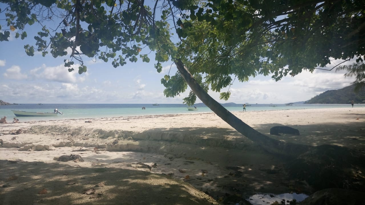 Schöner Strand - Anse Volbert Berjaya Praslin Resort