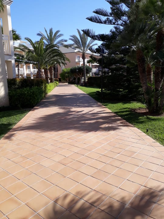 Gartenanlage Zafiro Can Picafort