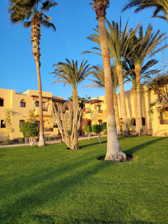 Außenansicht Steigenberger Coraya Beach - Adults only