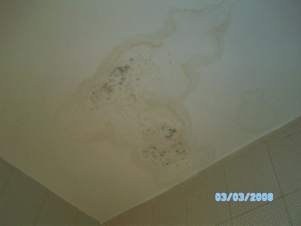 Hotel Ghazala Gardens Ghazala Gardens