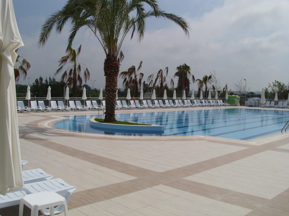 Wettkampfpool mit Palme Club Sidelya Hotel