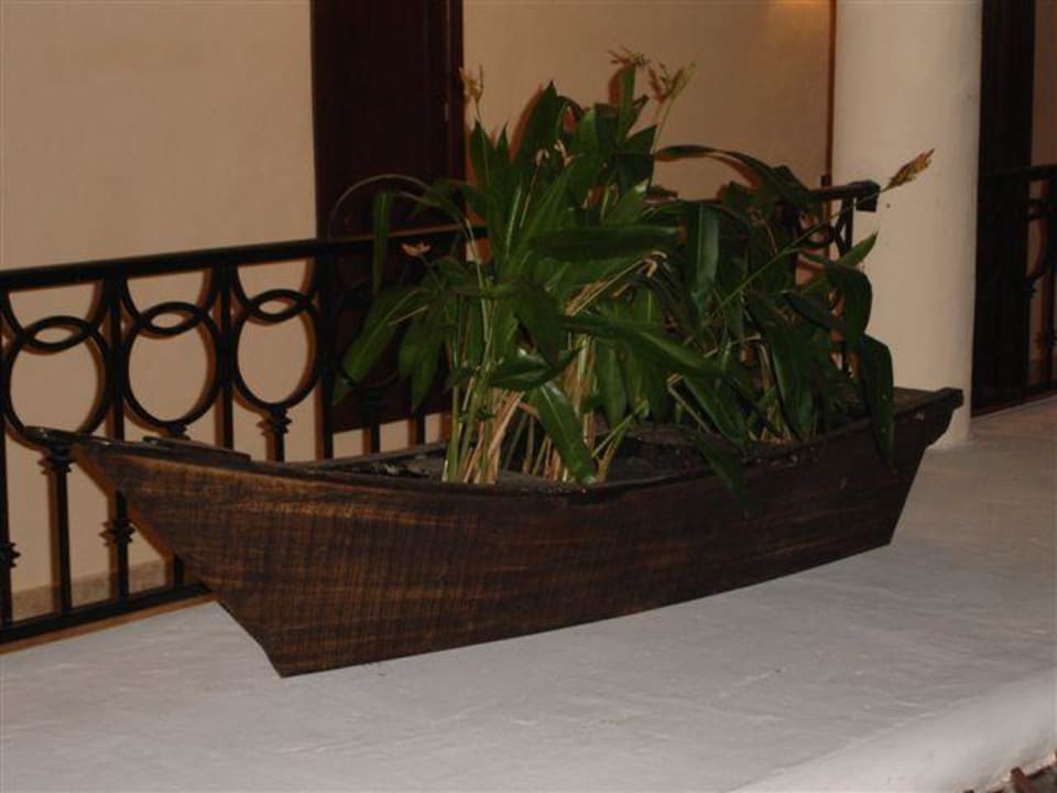 im Hotel Hyatt Zilara Riviera Maya