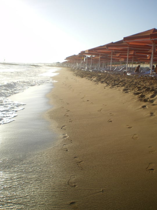 Toller Strand Club Side Coast
