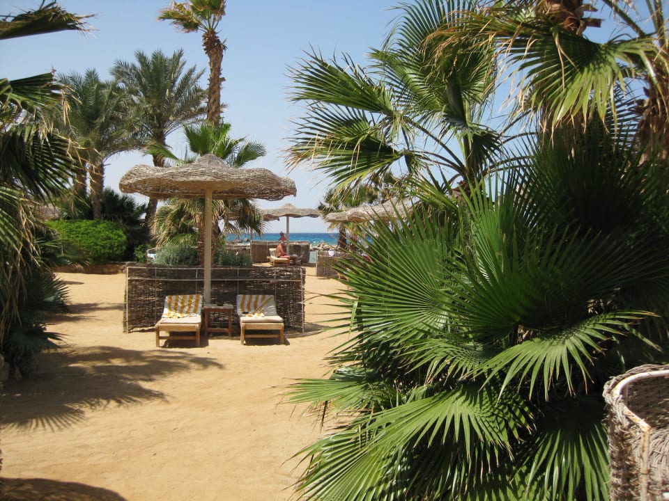 ...viel Platz Pickalbatros Citadel Resort