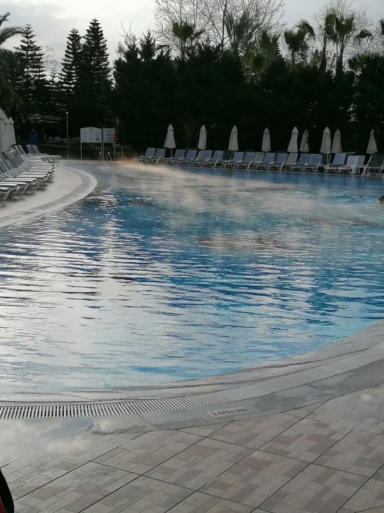 Pool Hotel Delphin Imperial