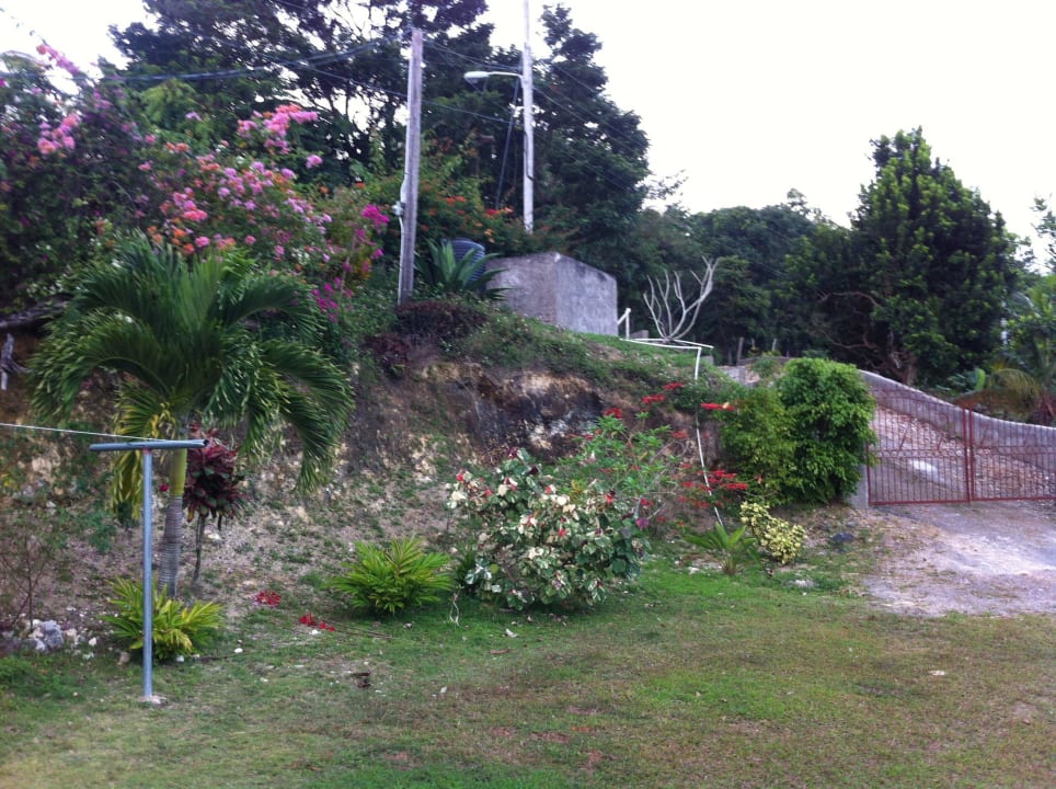 Back yard Hotel Teresinajamaica