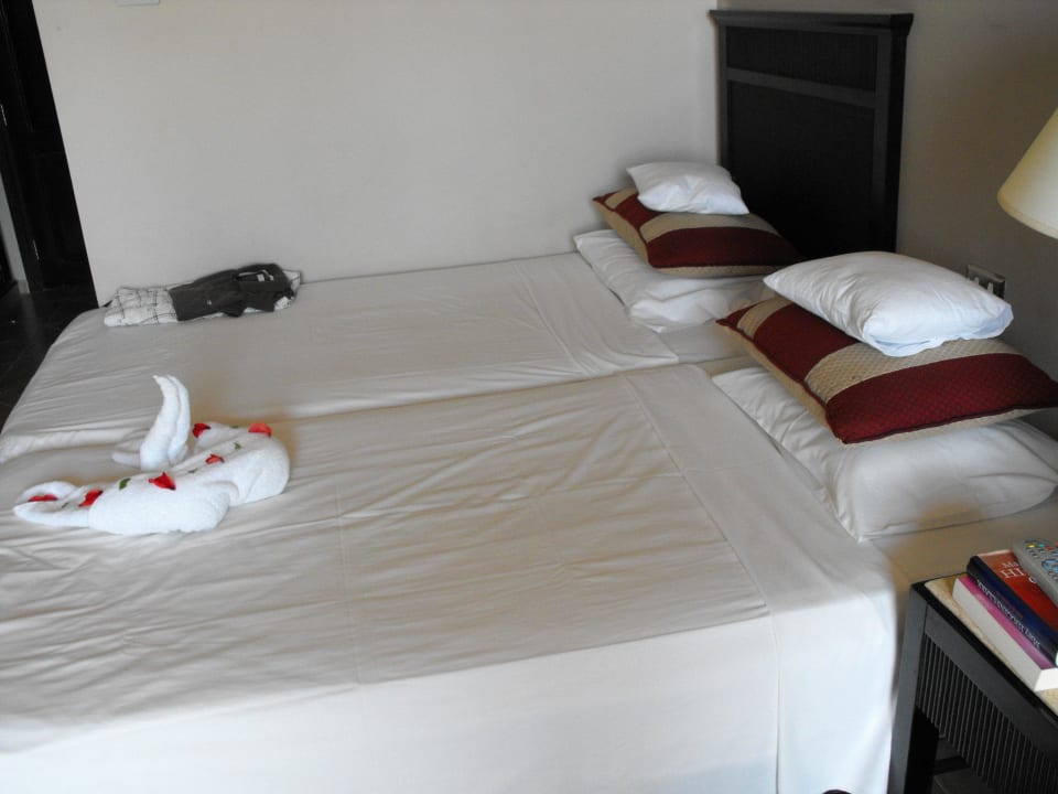 Zimmer 1226 Doppelzimmer Superior JAZ Dahabeya