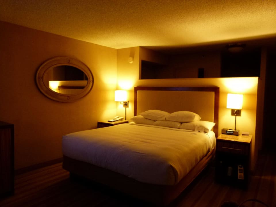 Zimmer Hotel Hyatt Regency Miami