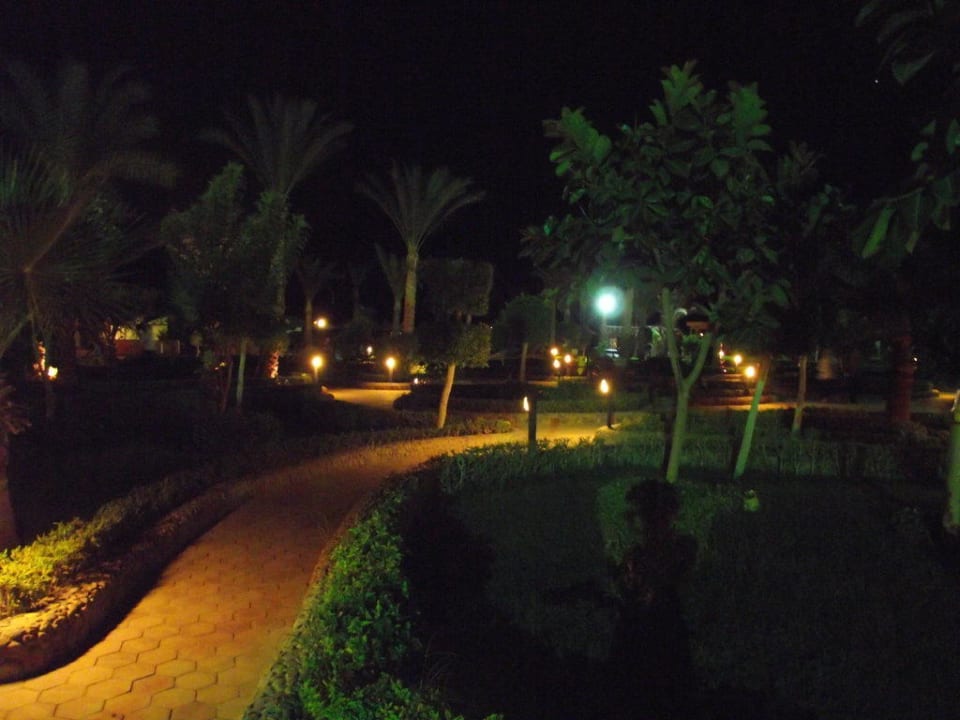 Вечерний сад Riviera Aqua Park Resort