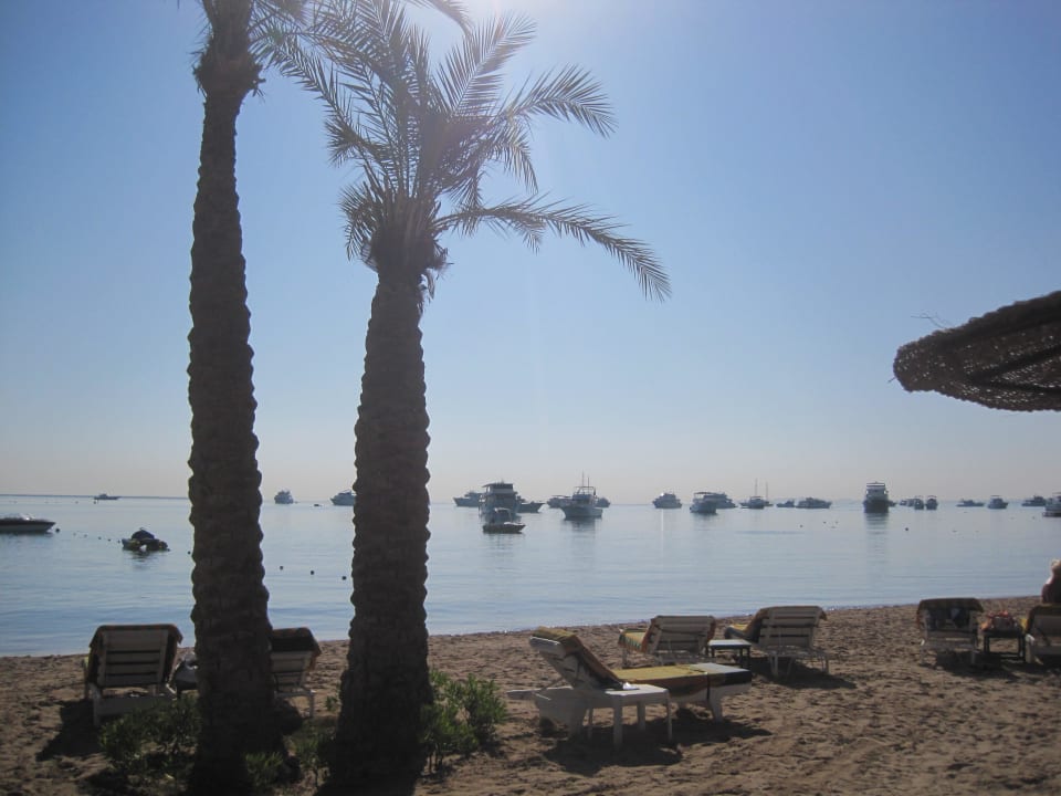 Schöner Strand Giftun Azur Resort