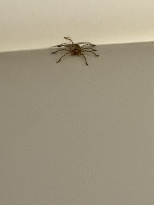 Zimmer Rodos Princess Beach Hotel & Spa