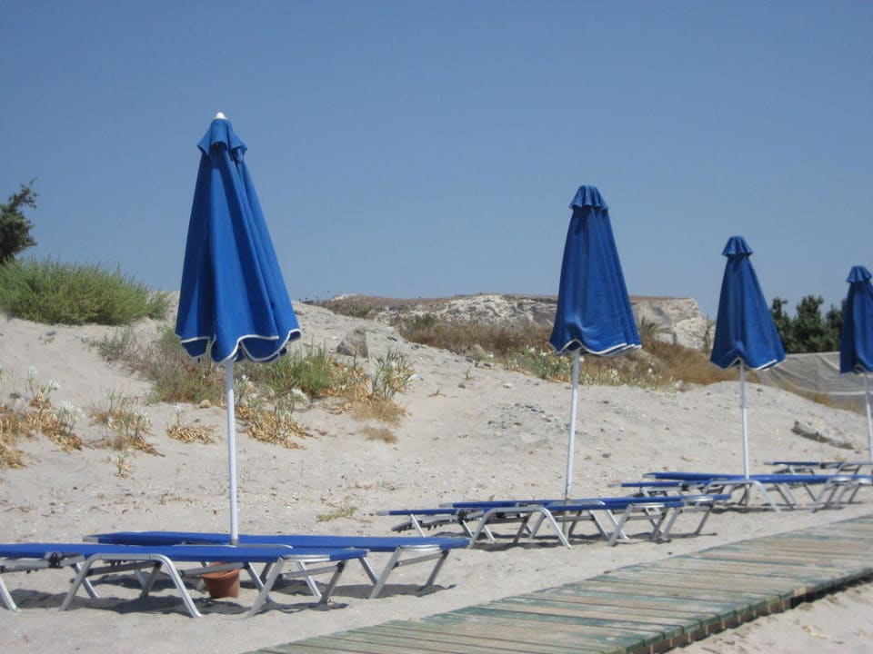 Es gab immer genügend Liegen Porto Bello Royal