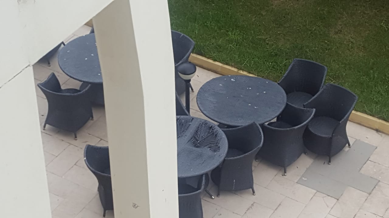 Gartenanlage Blue Pearl