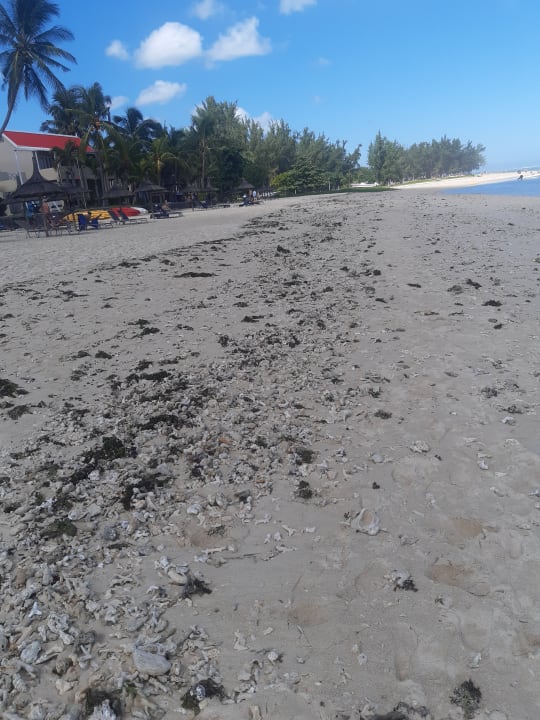 Strand Hotel Villas Caroline