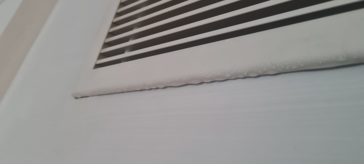 Zimmer Well Palace Side