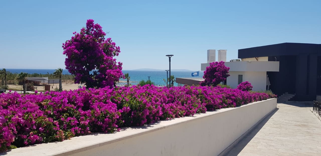 Außenansicht Aquasis De Luxe Resort & Spa