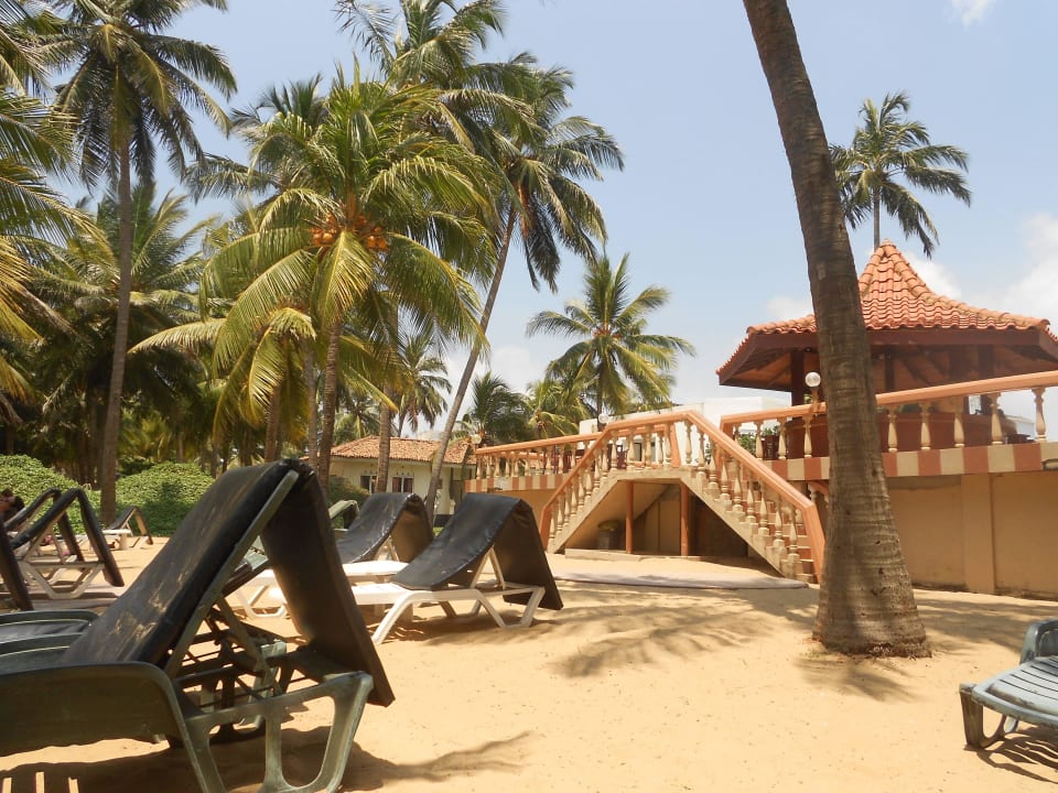 Blick vom Strand auf die Poolbar Hotel Golden Star Beach