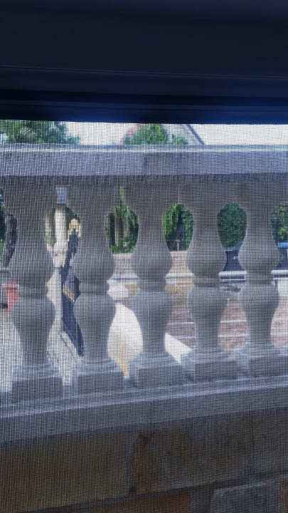 Ausblick Apartments Wilsmann