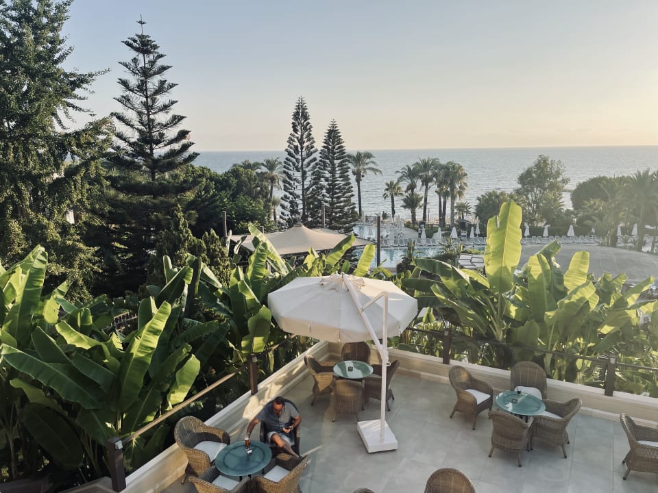 Gastro PALOMA Perissia