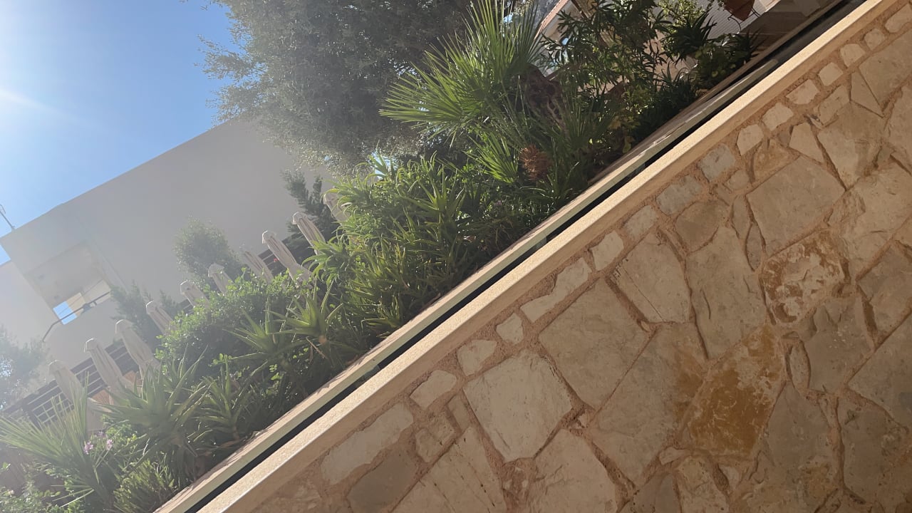 Ausblick Cactus Royal