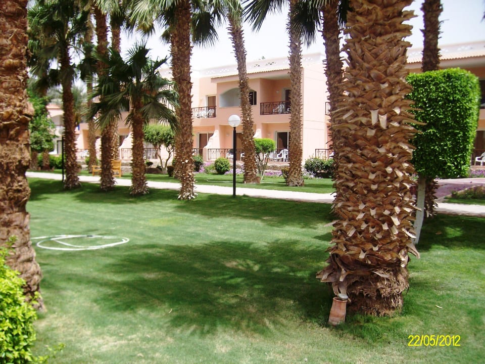 Schöne Anlage Beach Albatros Resort