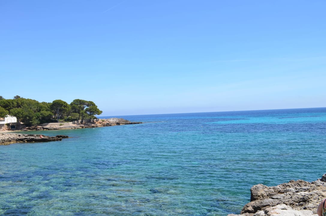 Blick aufs Meer Iberostar Waves Pinos Park