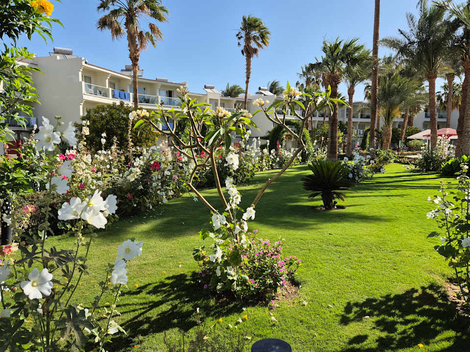Gartenanlage Amarina Abu Soma Resort & Aquapark
