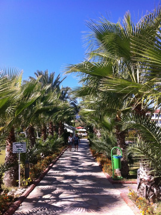 Der wunderschöne Weg vom Strand zum Hotel  Le Jardin Resort
