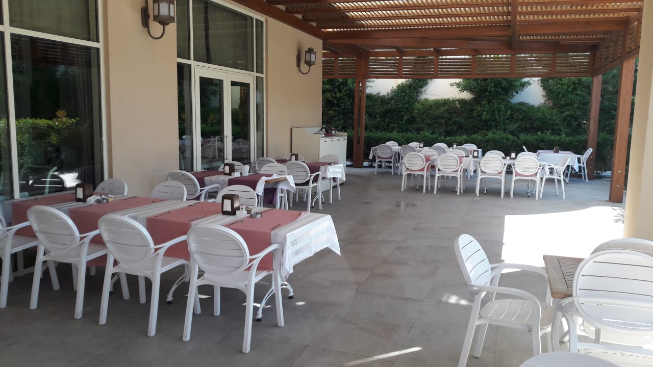 Gastro Well Palace Side