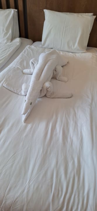Zimmer TUI MAGIC LIFE Bodrum - Adult Only (16+)