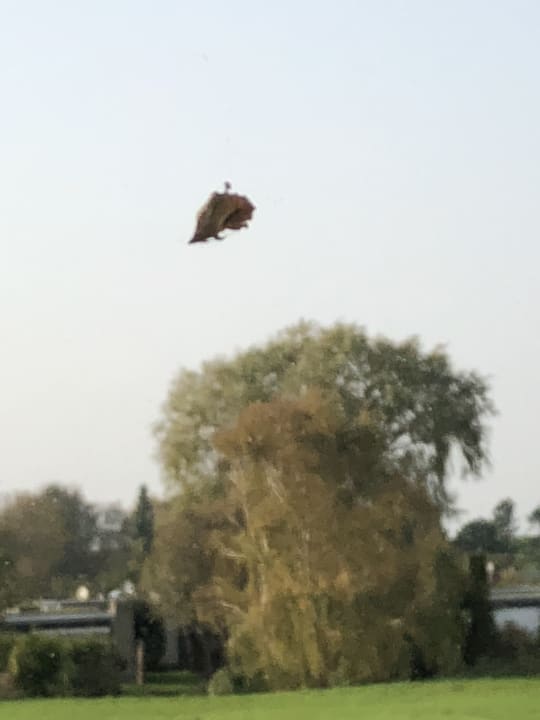 Zimmer Center Parcs Park Nordseeküste