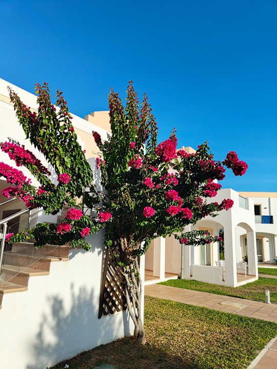 Außenansicht Atlantica Marmari Beach