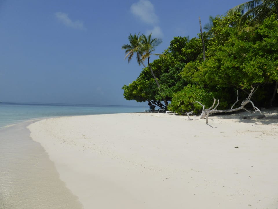 Wie im Katalog Biyadhoo Island Resort