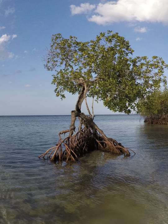 Strand Bahia Principe Grand El Portillo