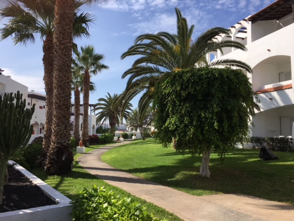 Gartenanlage Club Jandia Princess