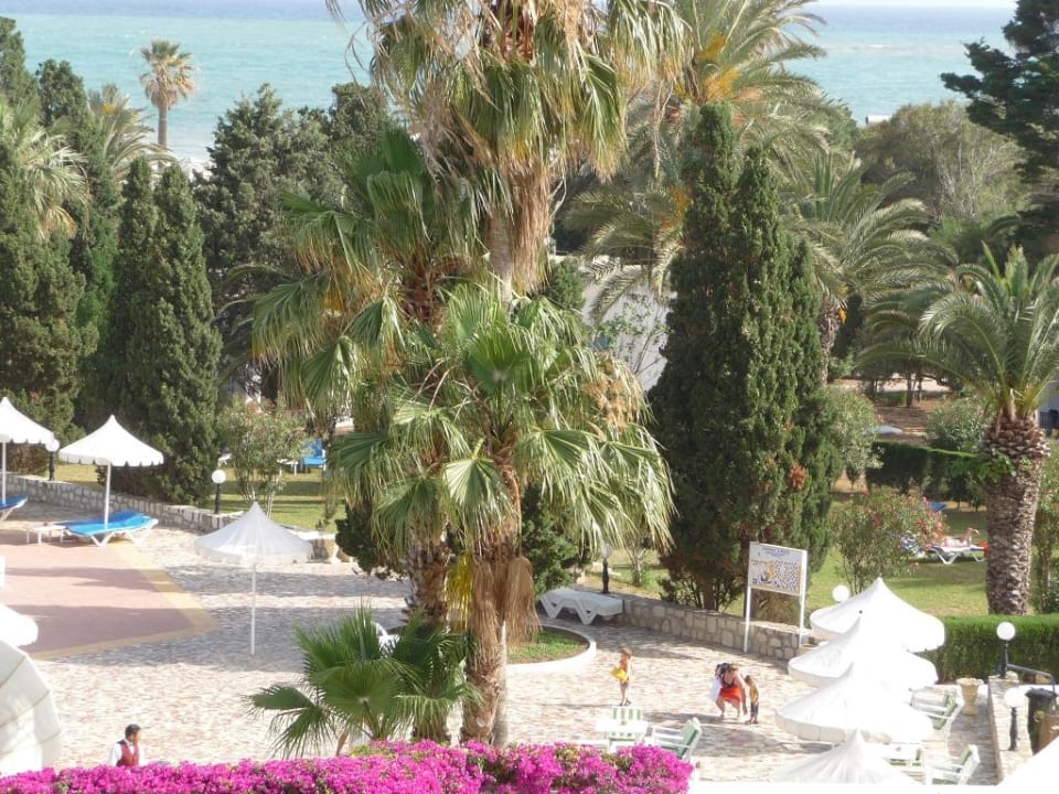 Ausblick Royal Lido Resort & Spa