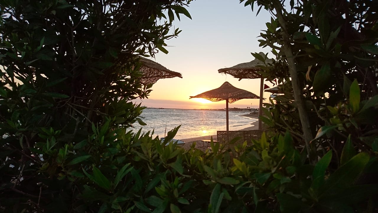 Ausblick Jaz Makadi Blue - TUI BLUE Makadi - Adults Friendly 16 Years Plus