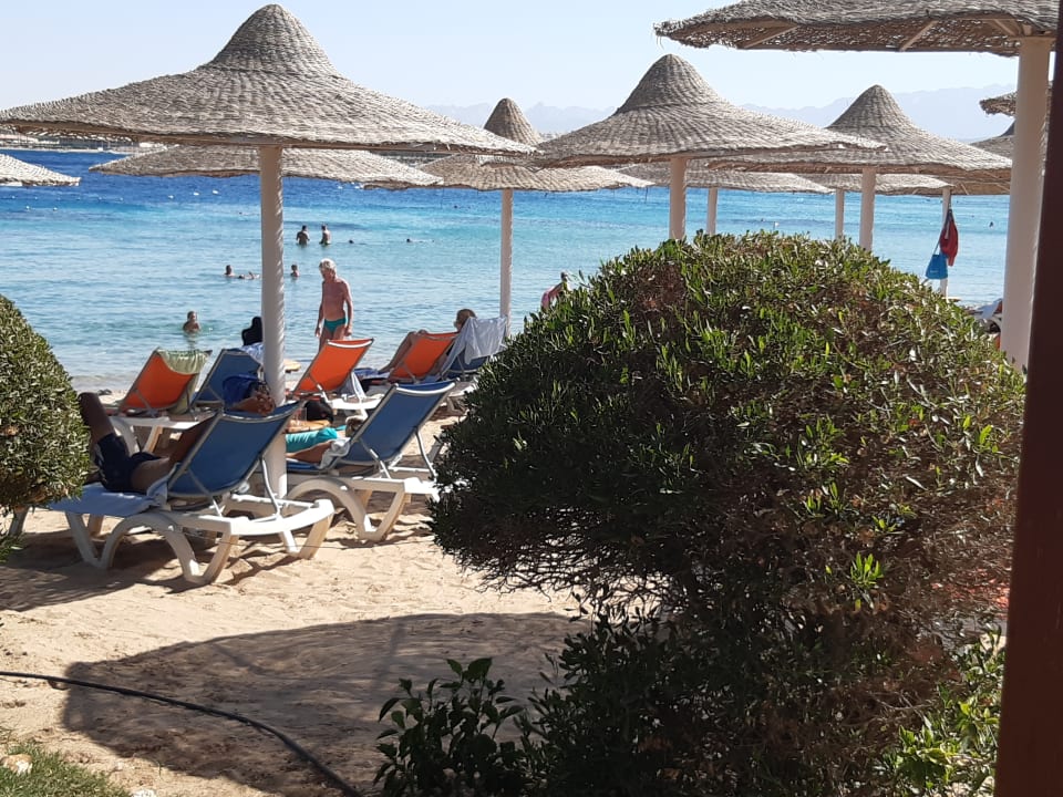 Strand Prima Life Makadi Resort