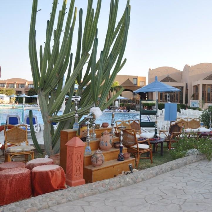 Barek przy basenie Ali Baba Palace Hotel